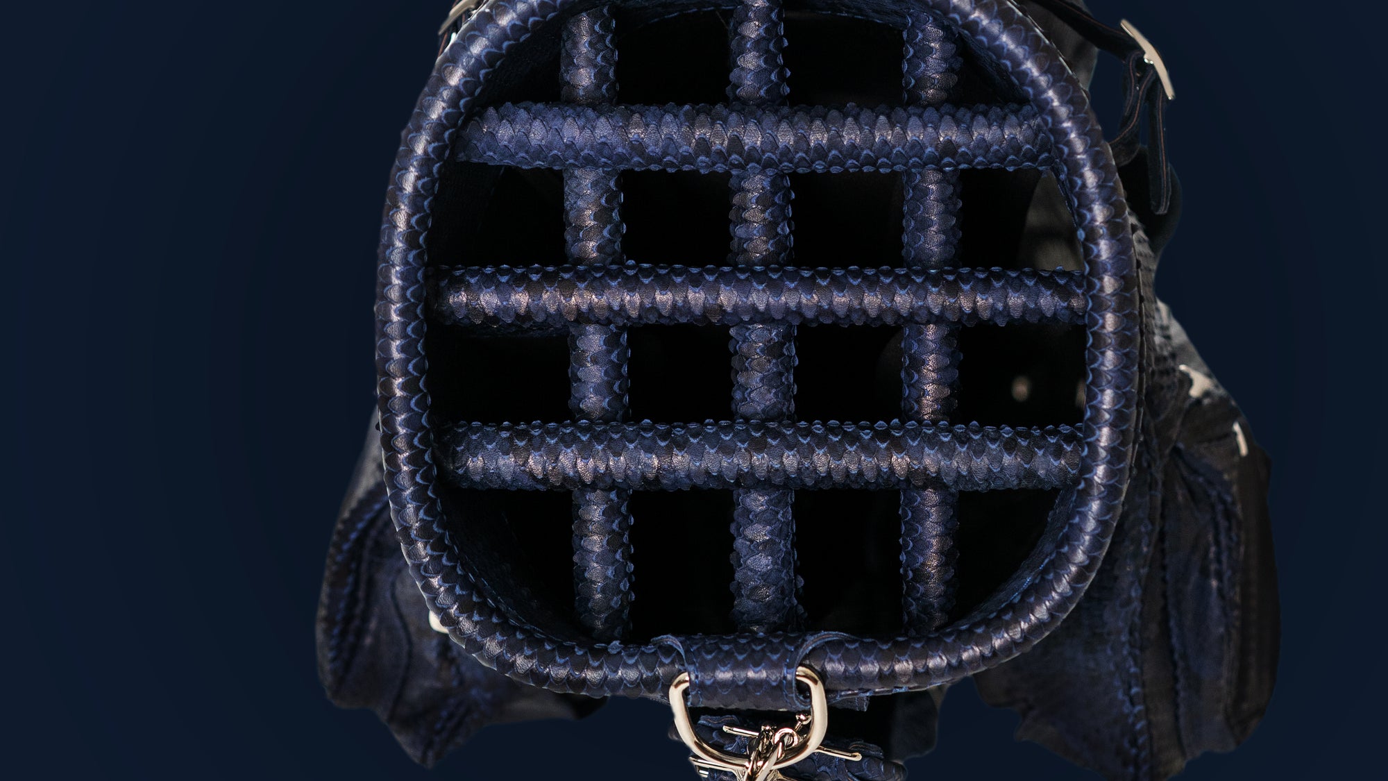 Close-Up Golfbag Unterteilung