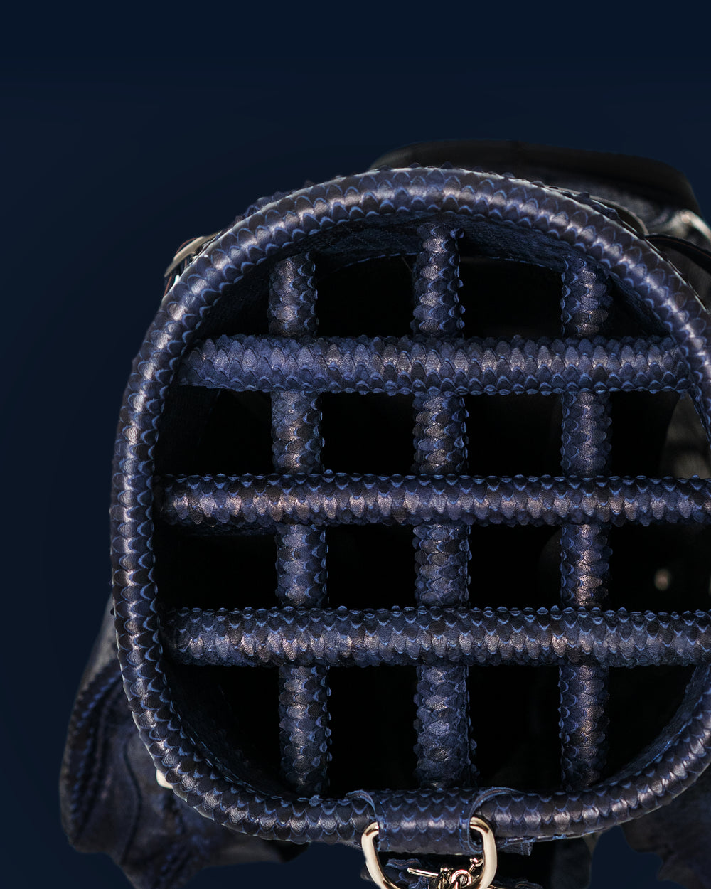Close-Up Golfbag Unterteilung